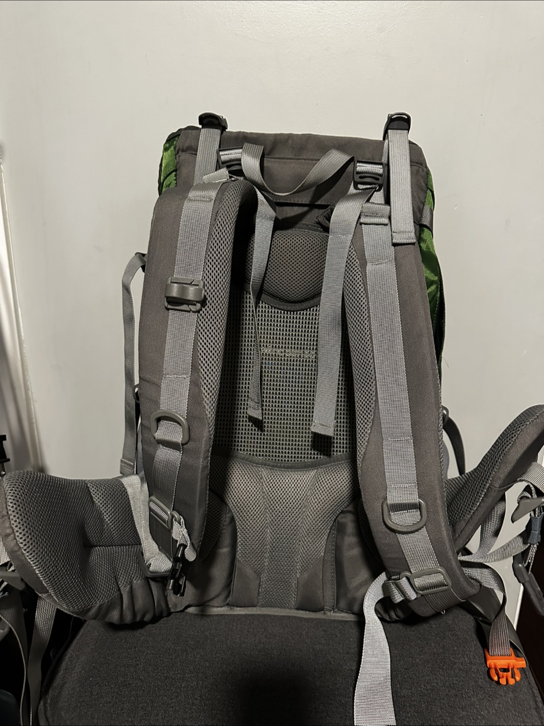 Deuter Futura Pro 40L Backpack - photo 2