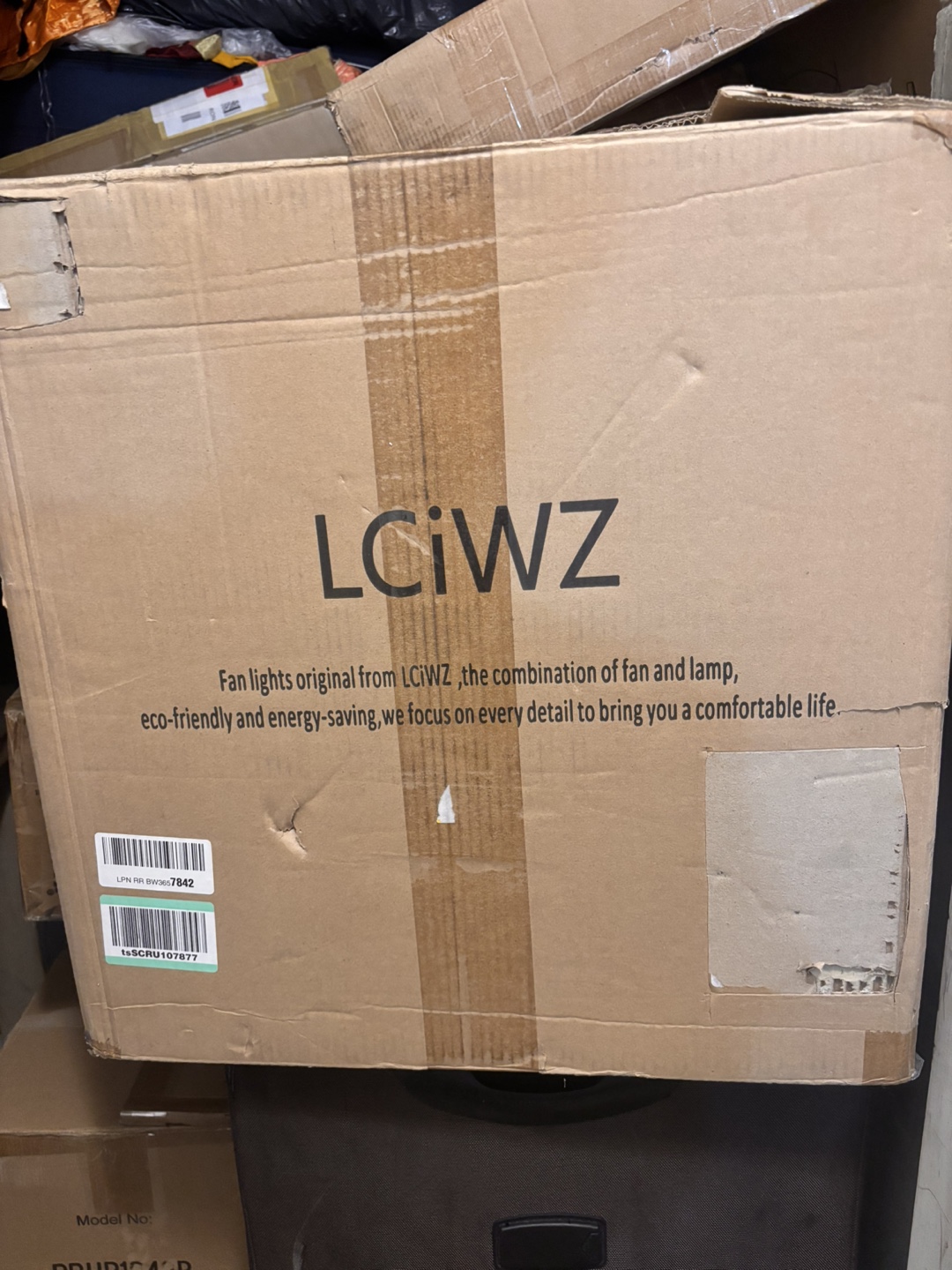 LCIWZ Ceiling Fan with Light - photo 3