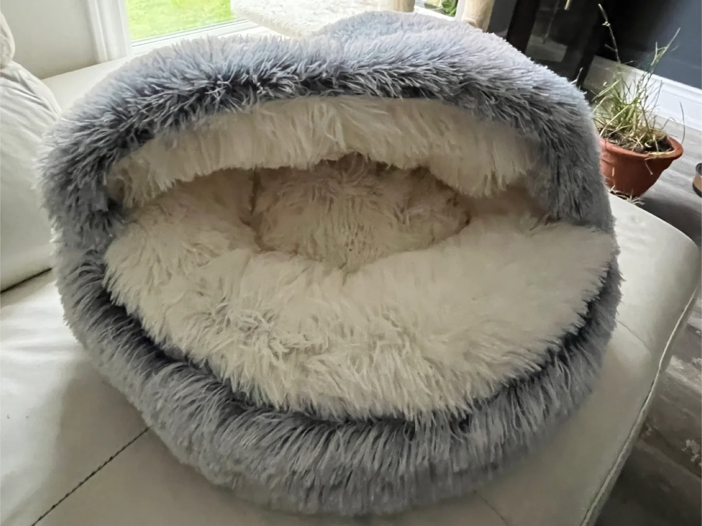 Indoor fluffy kitten puppy bed image indicator(6)