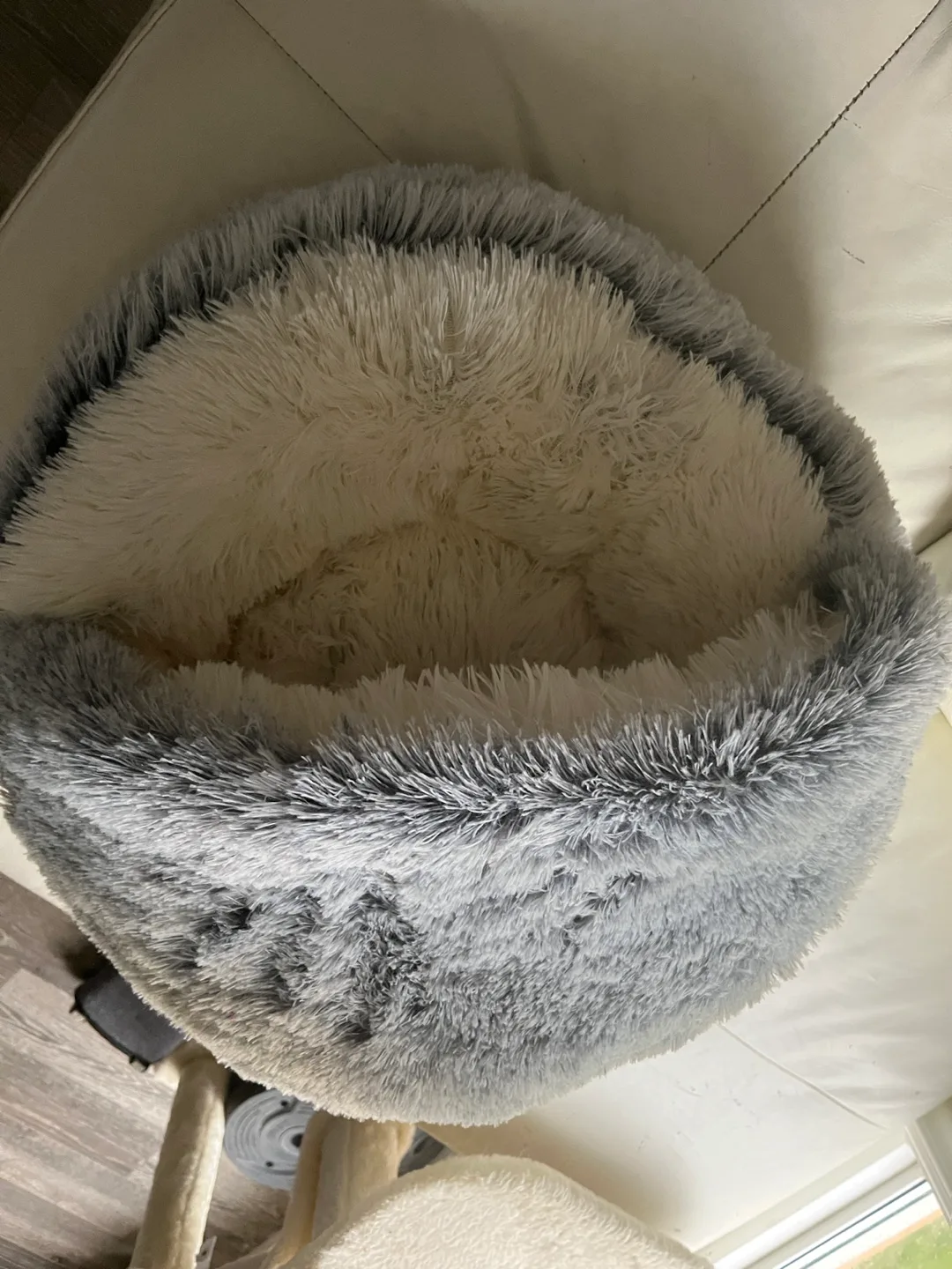 Indoor fluffy kitten puppy bed image indicator(3)
