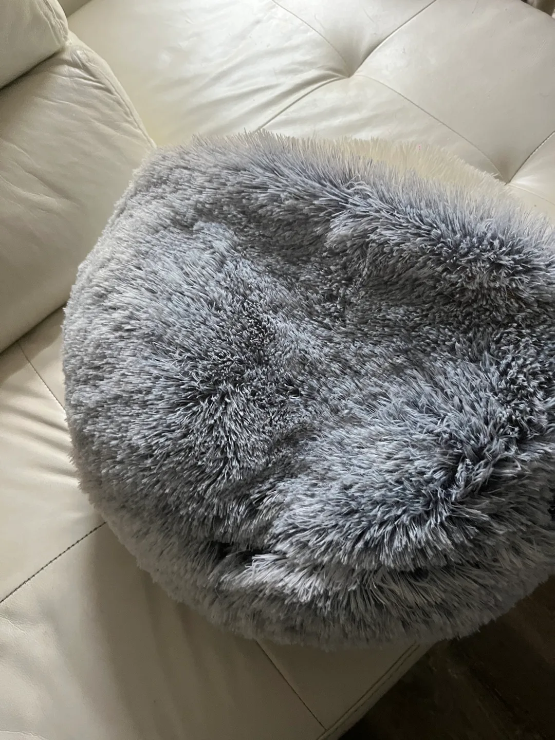 Indoor fluffy kitten puppy bed image indicator(5)