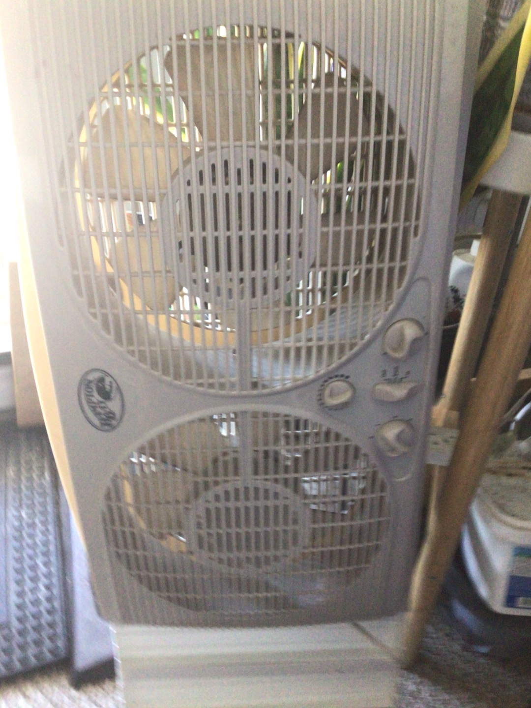 Two-in-One Fan