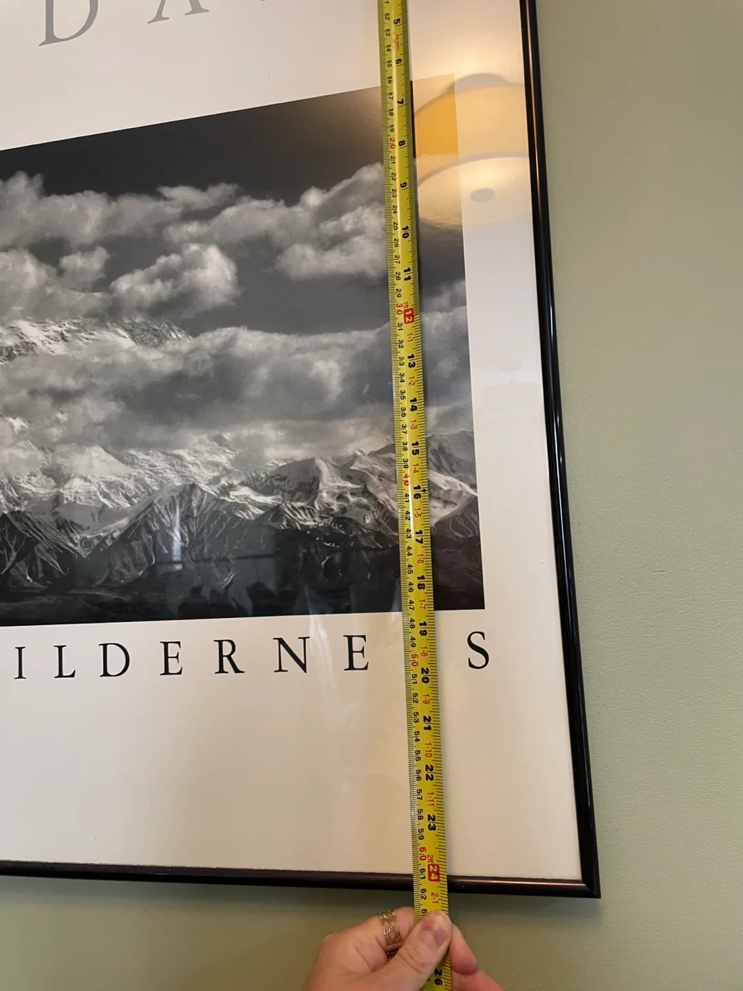🔥 Ansel Adams "The American Wilderness"- $15! 🔥 image indicator(2)