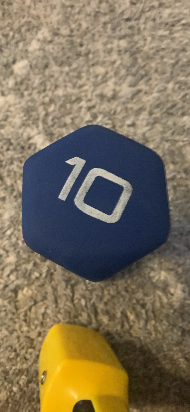 10 LB Dumbbell - photo 3
