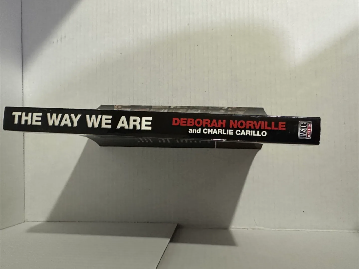 The Way We Are Book image indicator(2)