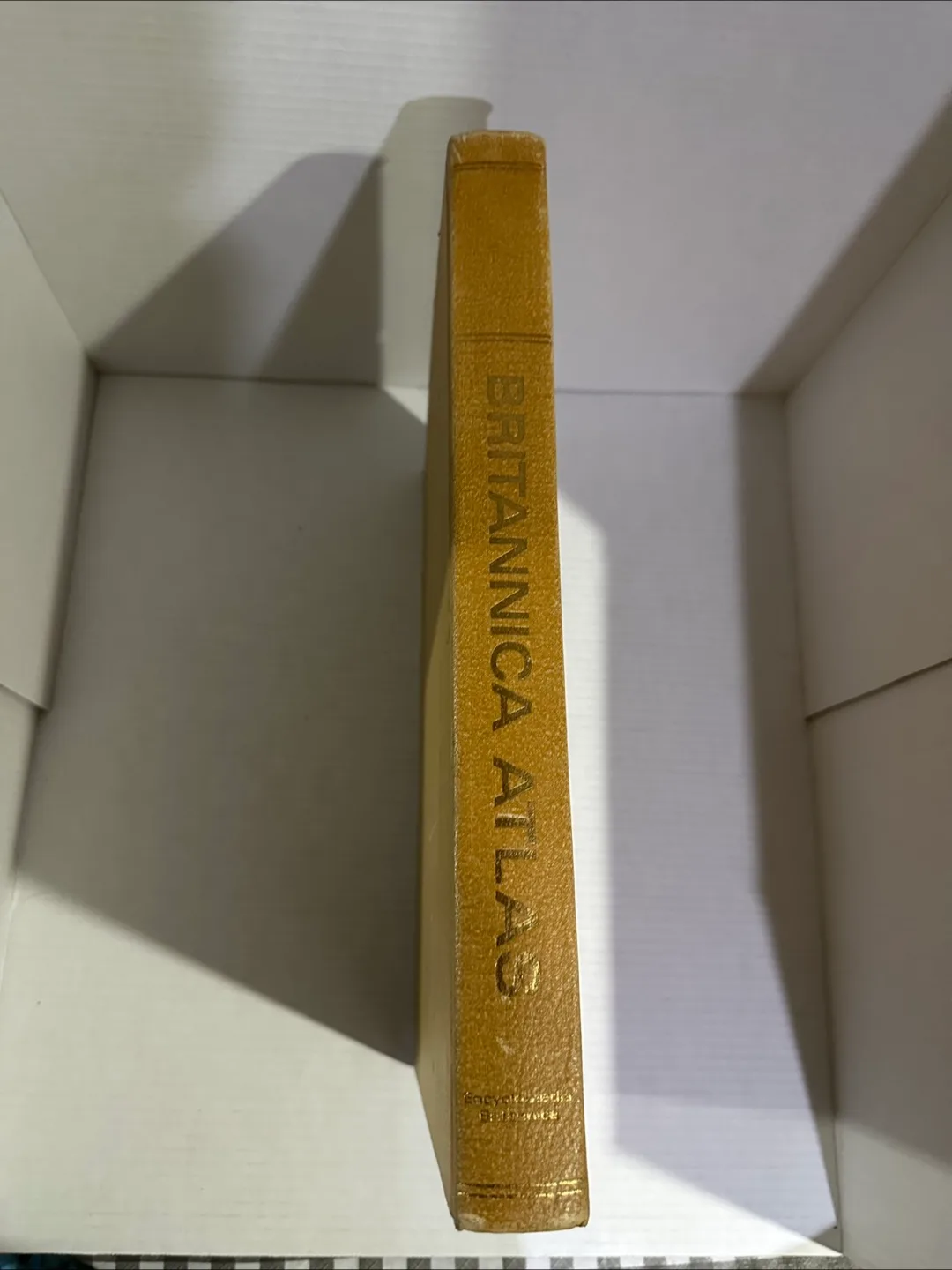 Britannica Atlas image indicator(2)