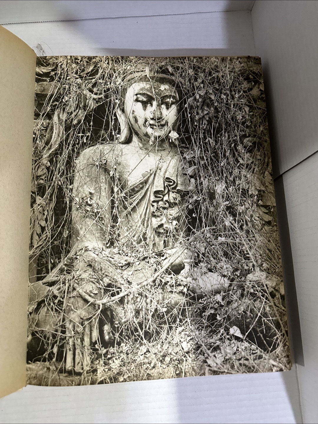 Pleasure of Ruins Book - photo 5
