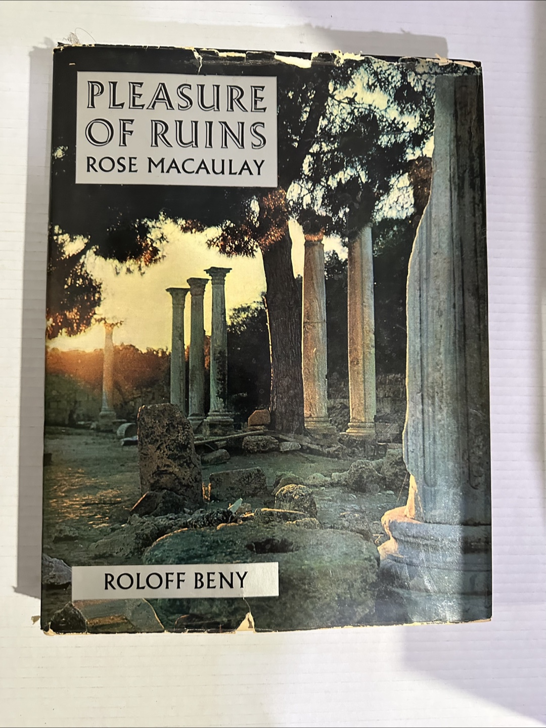 Pleasure of Ruins Book