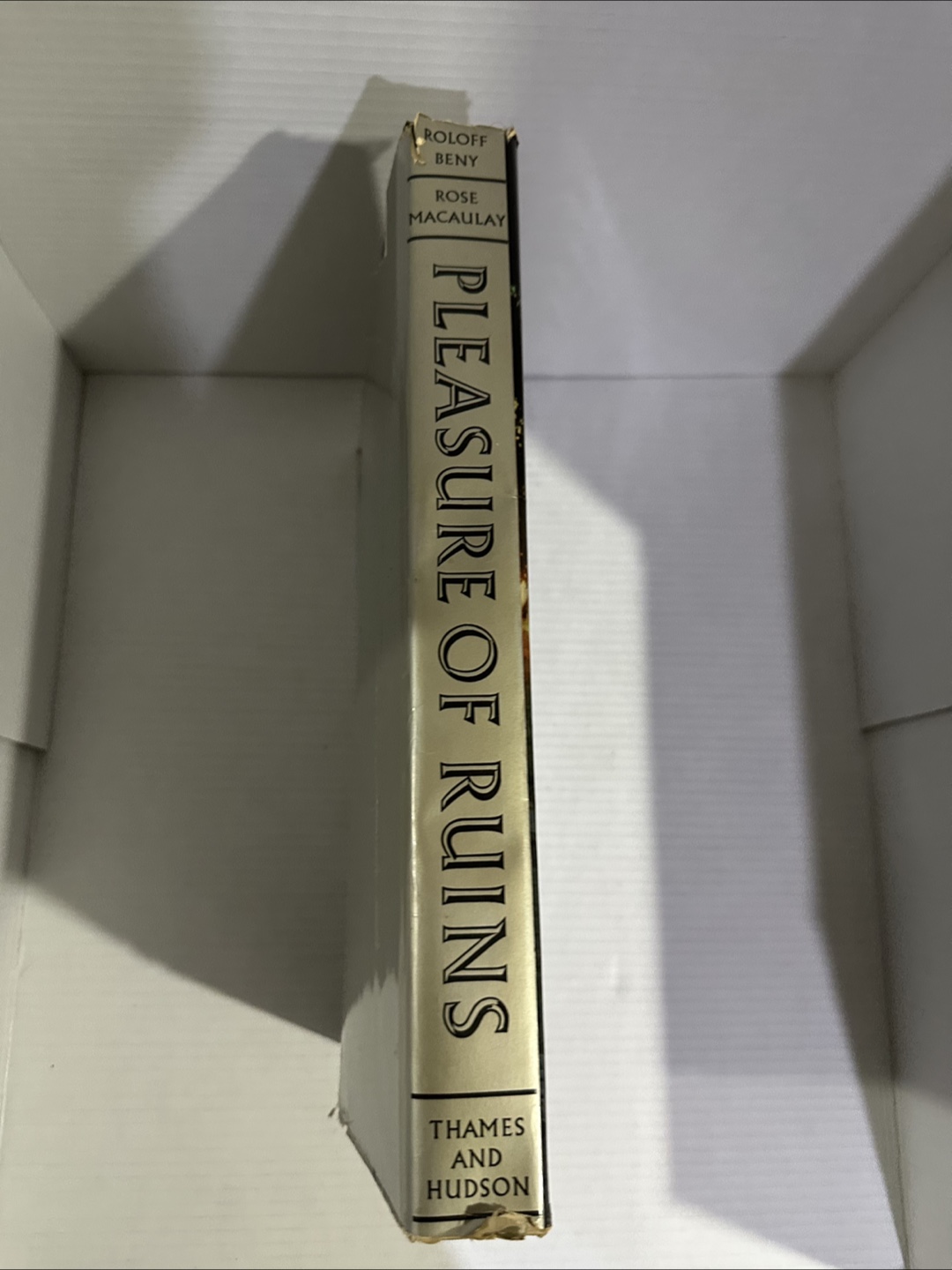 Pleasure of Ruins Book - photo 2