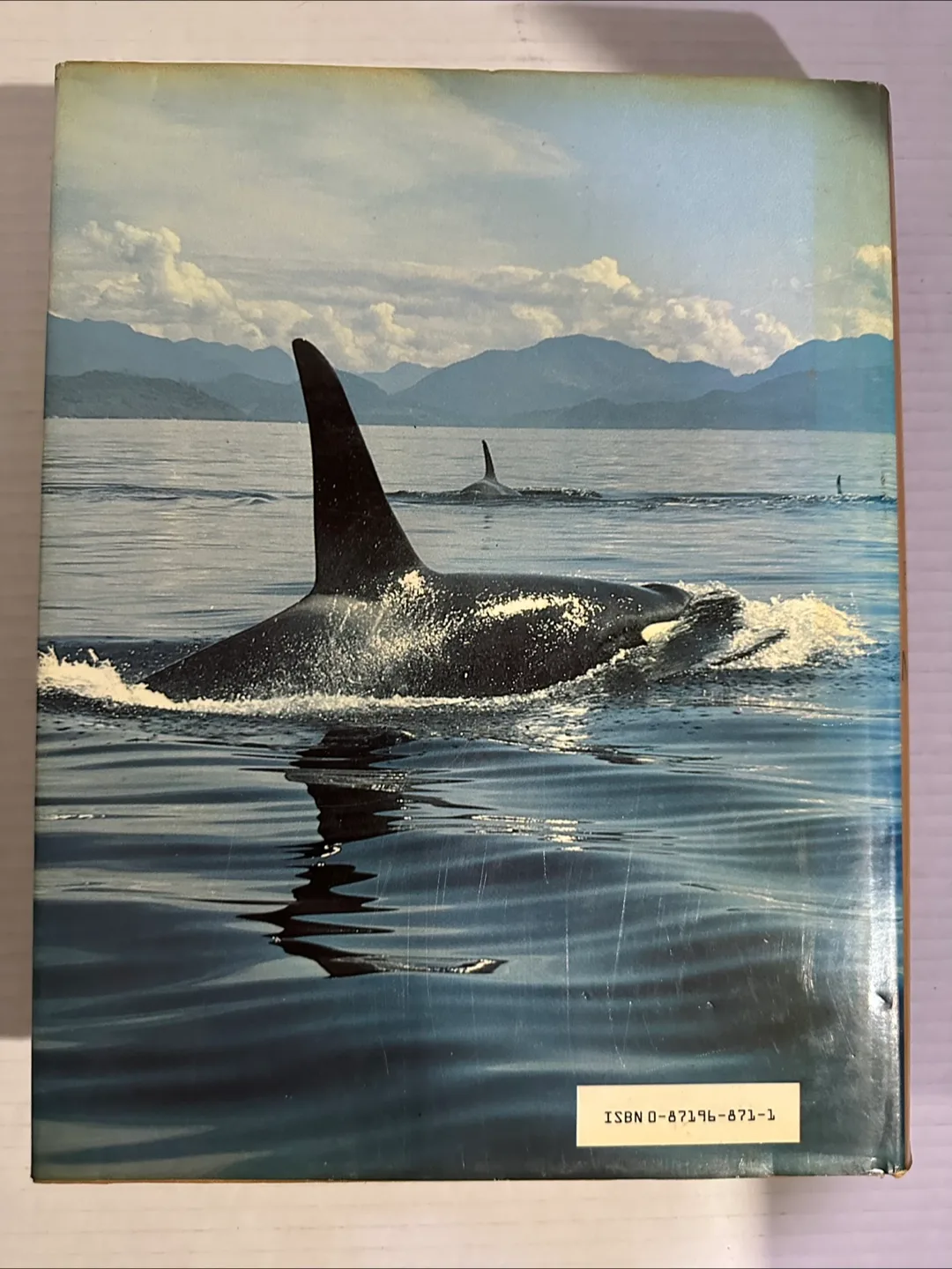 The Encyclopedia of Mammals image indicator(3)