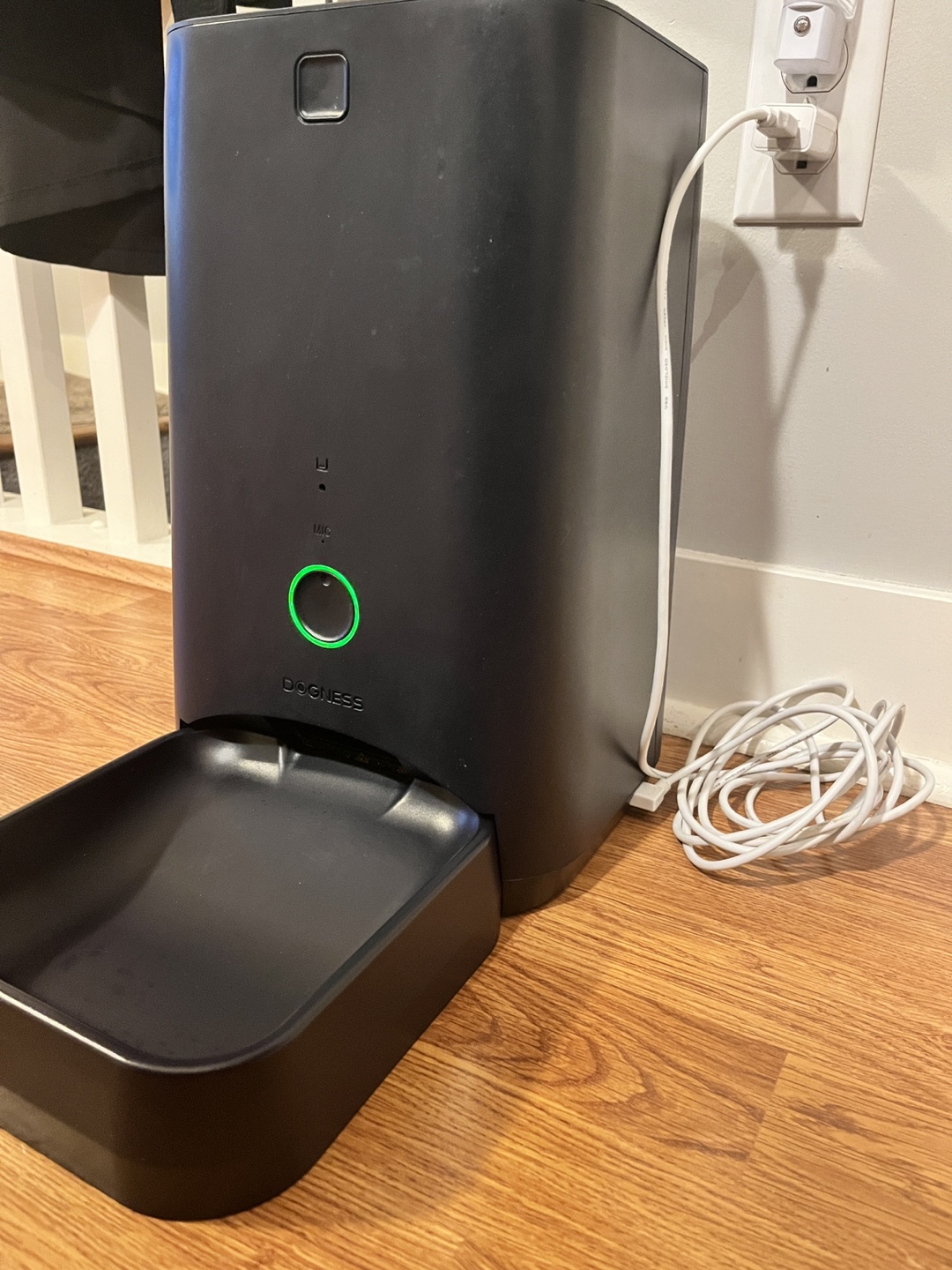 Pet food auto feeder
