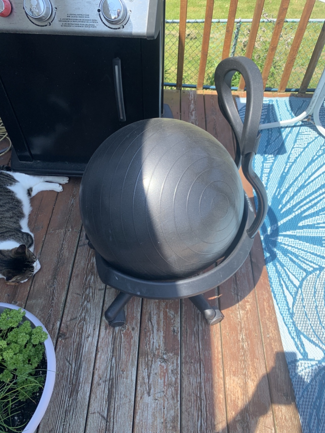 GAIAM medicine ball chair