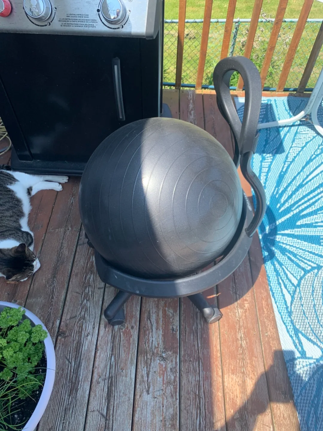 GAIAM medicine ball chair thumbnail