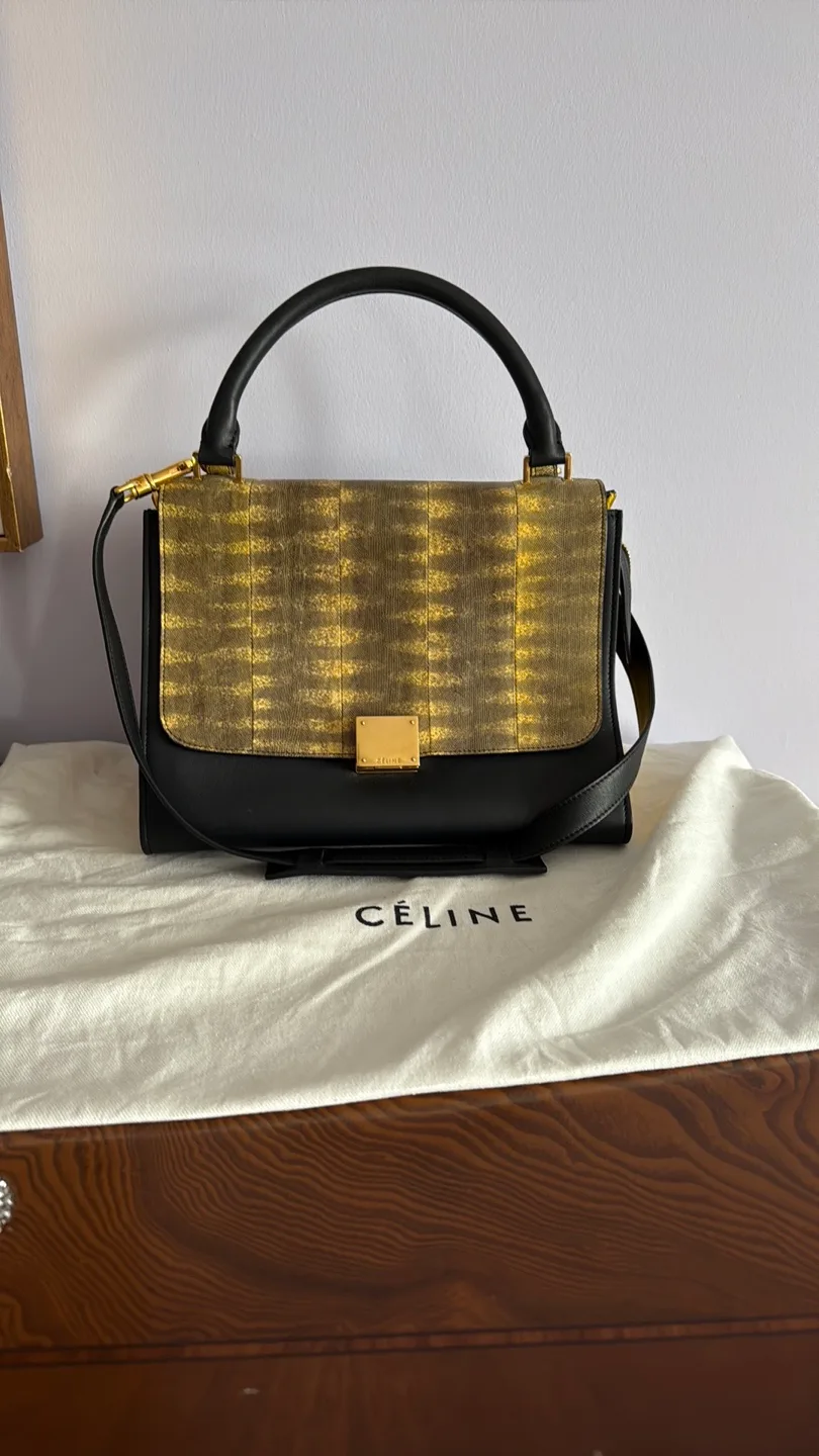 Celine Black Calfskin and Yellow Accents Trapeze bag image indicator(8)