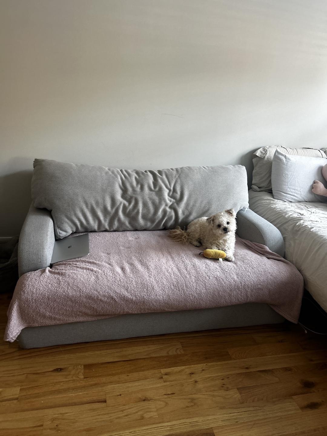 Grey Couch