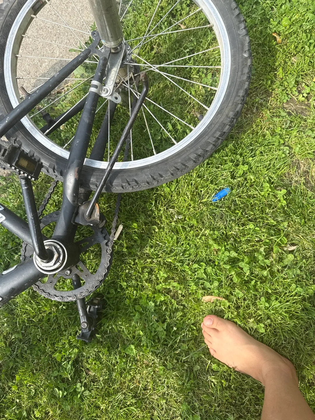 Raleigh Big Horn Bicycle image indicator(2)