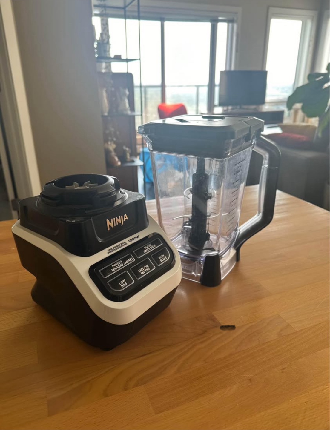 Ninja Professional 1000 watt Blender