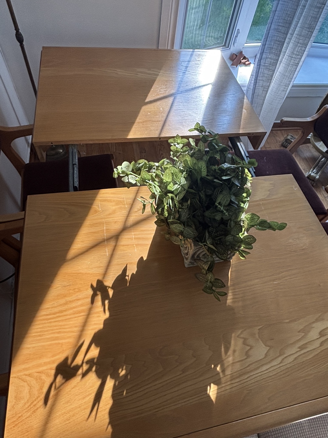 Dining Table and Chairs - photo 4
