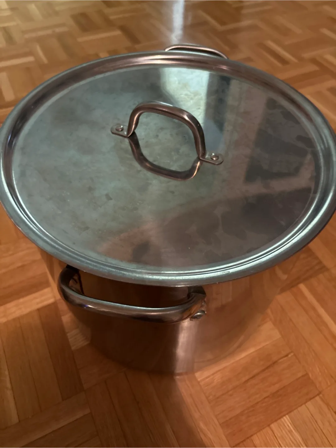 Stainless Steel Stockpot with Lid image indicator(3)