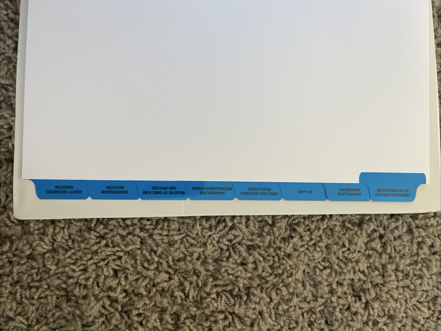 Minute Book - AMA Registries - photo 5