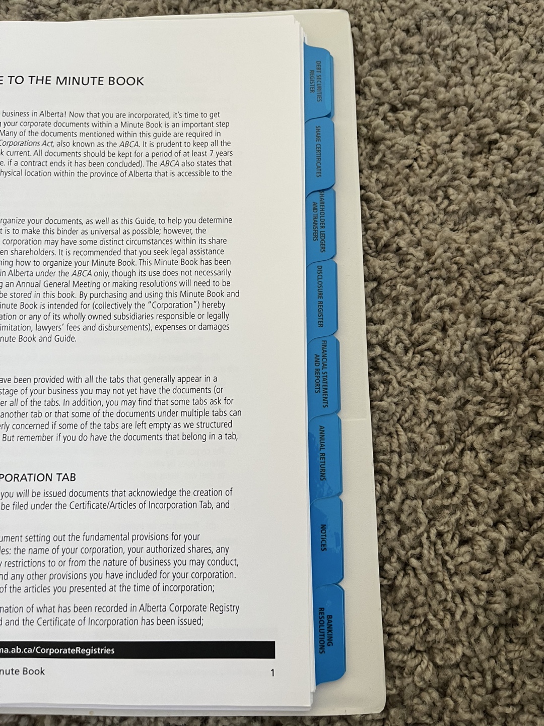 Minute Book - AMA Registries - photo 3