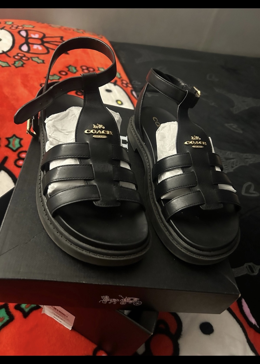 Coach Franny Leather Sandals