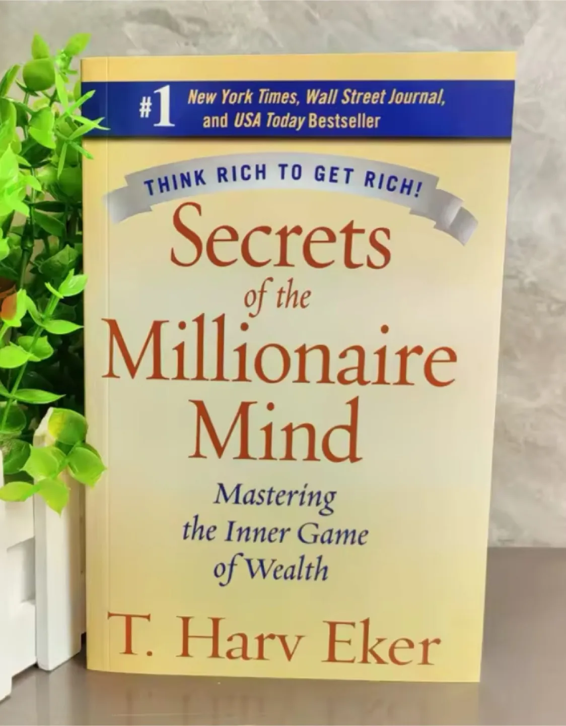 Secrets of the Millionaire Mind Book thumbnail