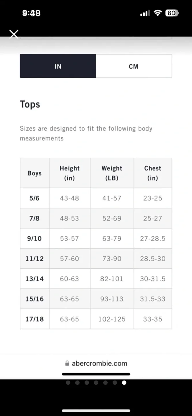 Abercrombie Youth Shirts - Bundle image indicator(6)