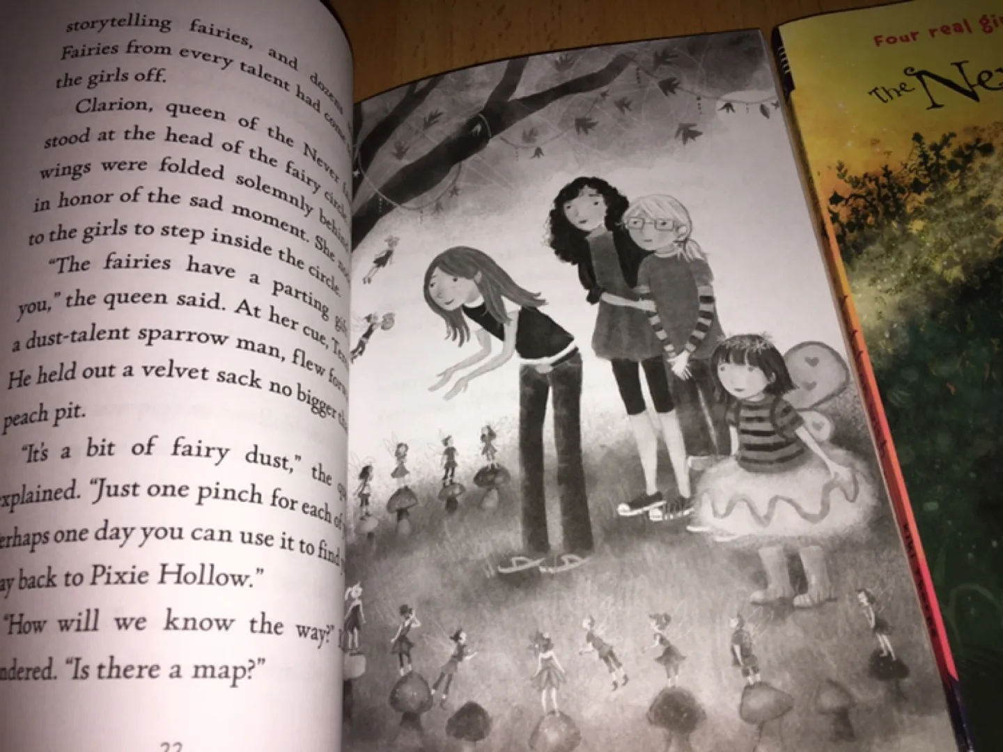 ($3 each) Chapter Books (Never Girls and Whatever After) image indicator(2)