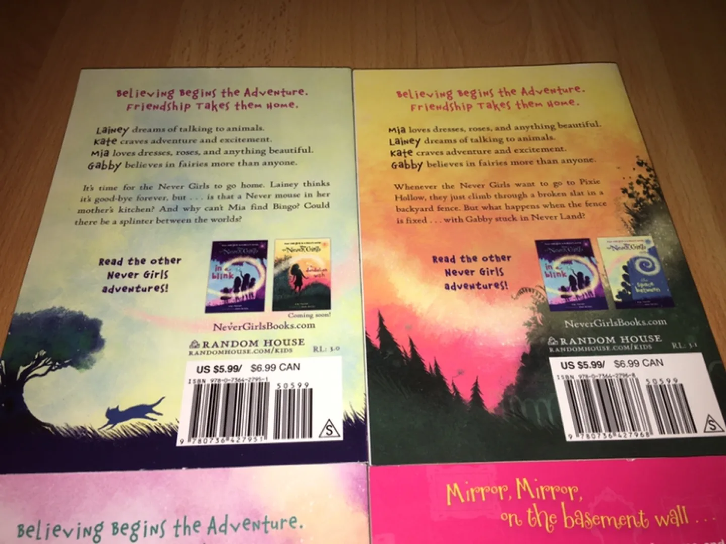 ($3 each) Chapter Books (Never Girls and Whatever After) image indicator(3)