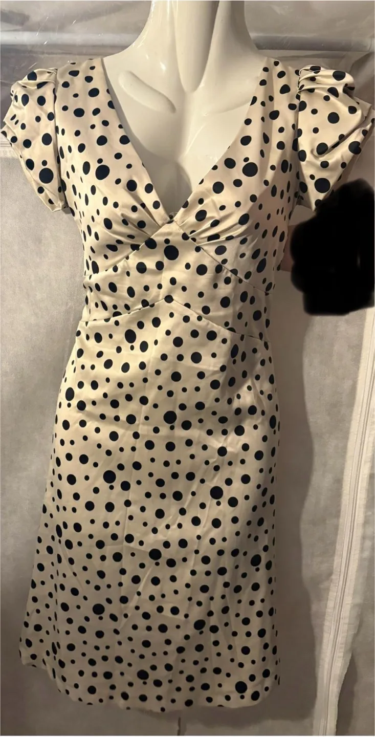 Polka Dot Dress thumbnail