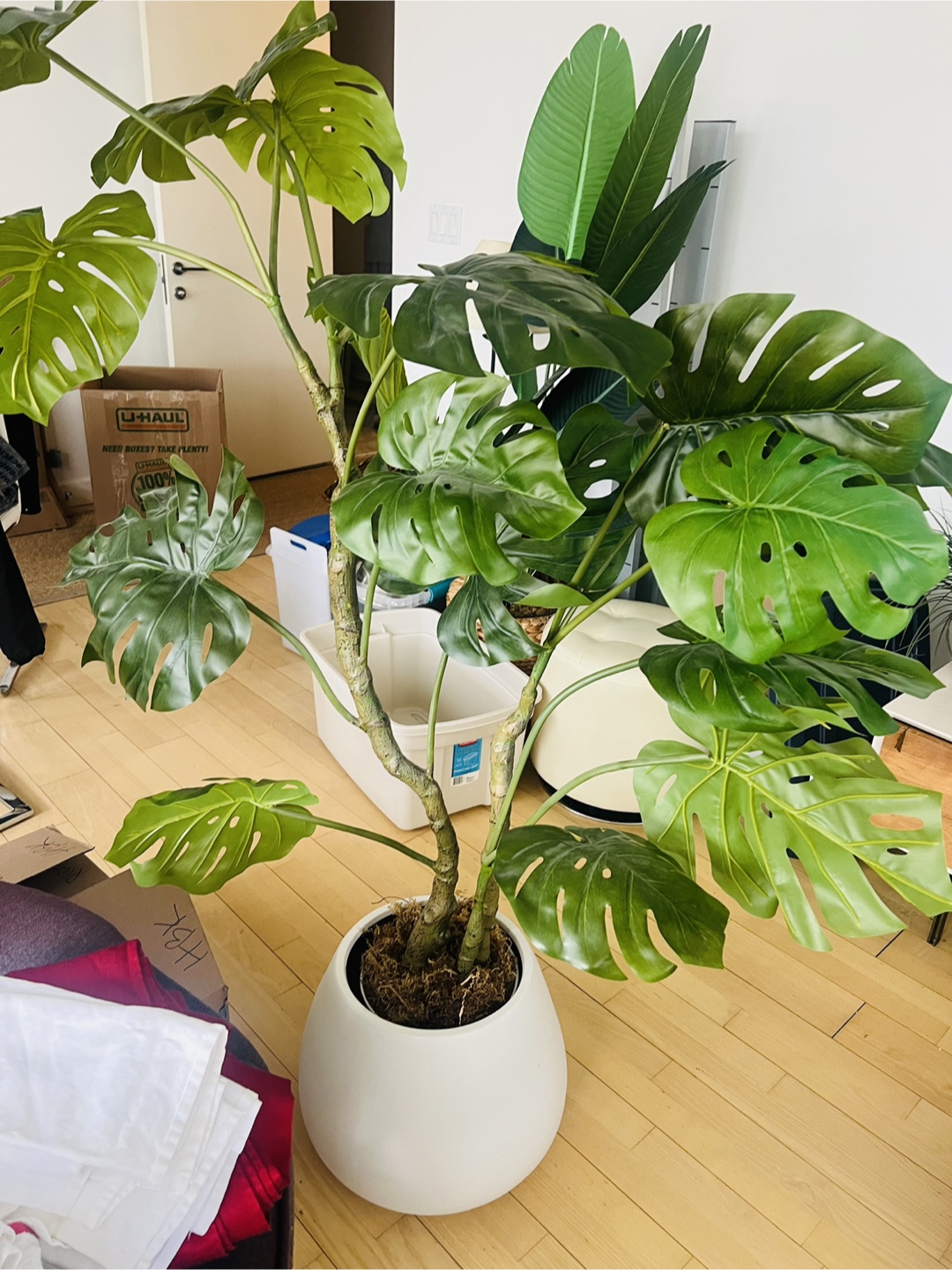 Artificial Monstera Plant with Pot