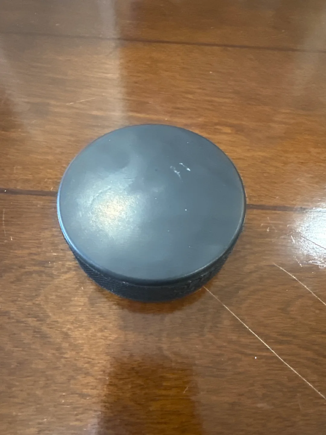 Official Hockey Puck image indicator(2)