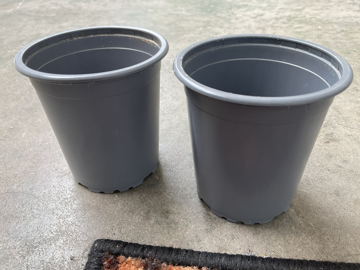 💚Set of two gray plastic pots🥕