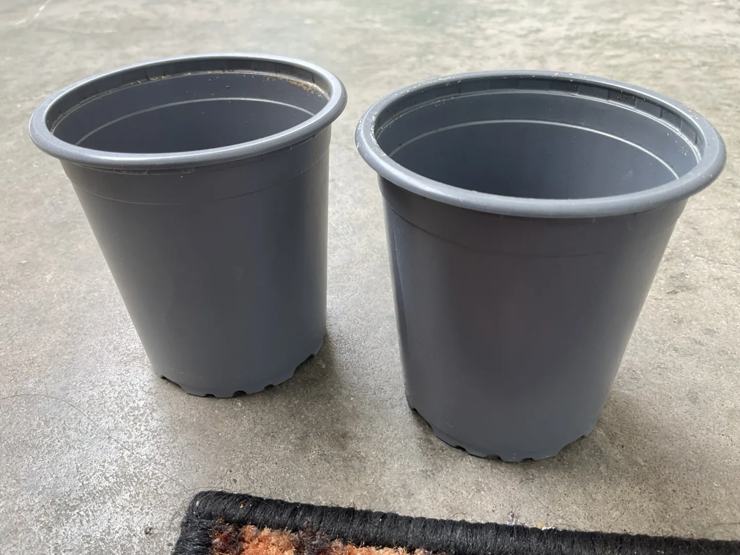 💚Set of two gray plastic pots🥕 thumbnail