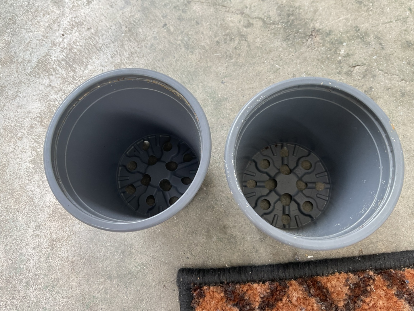 💚Set of two gray plastic pots🥕 - photo 2