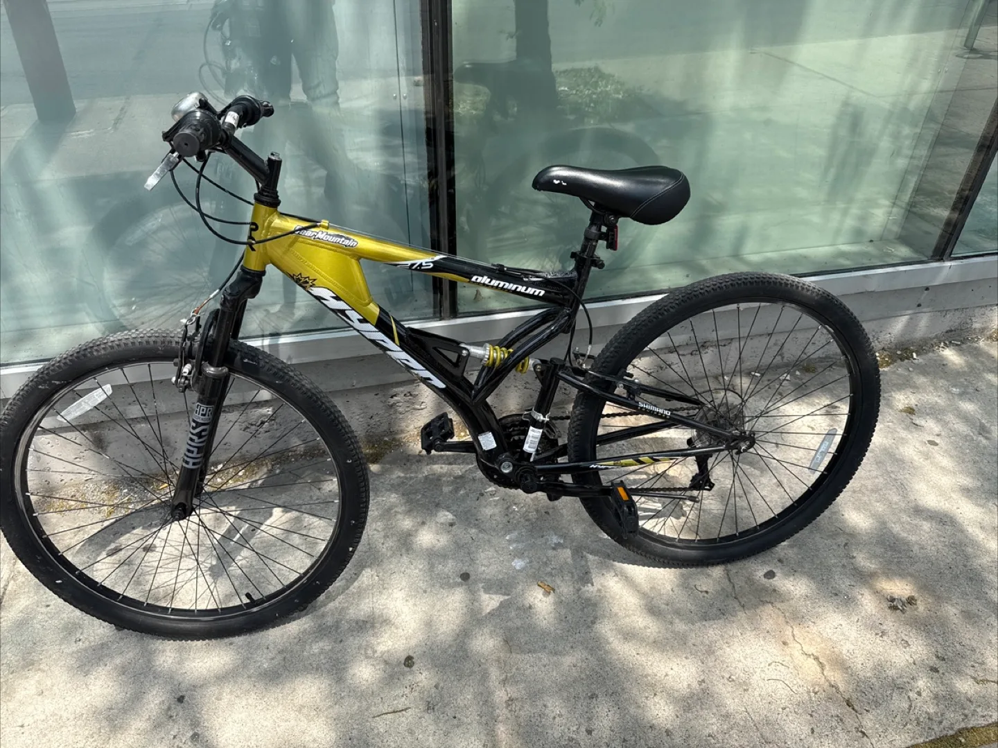 Mountain Bike - Black and Gold