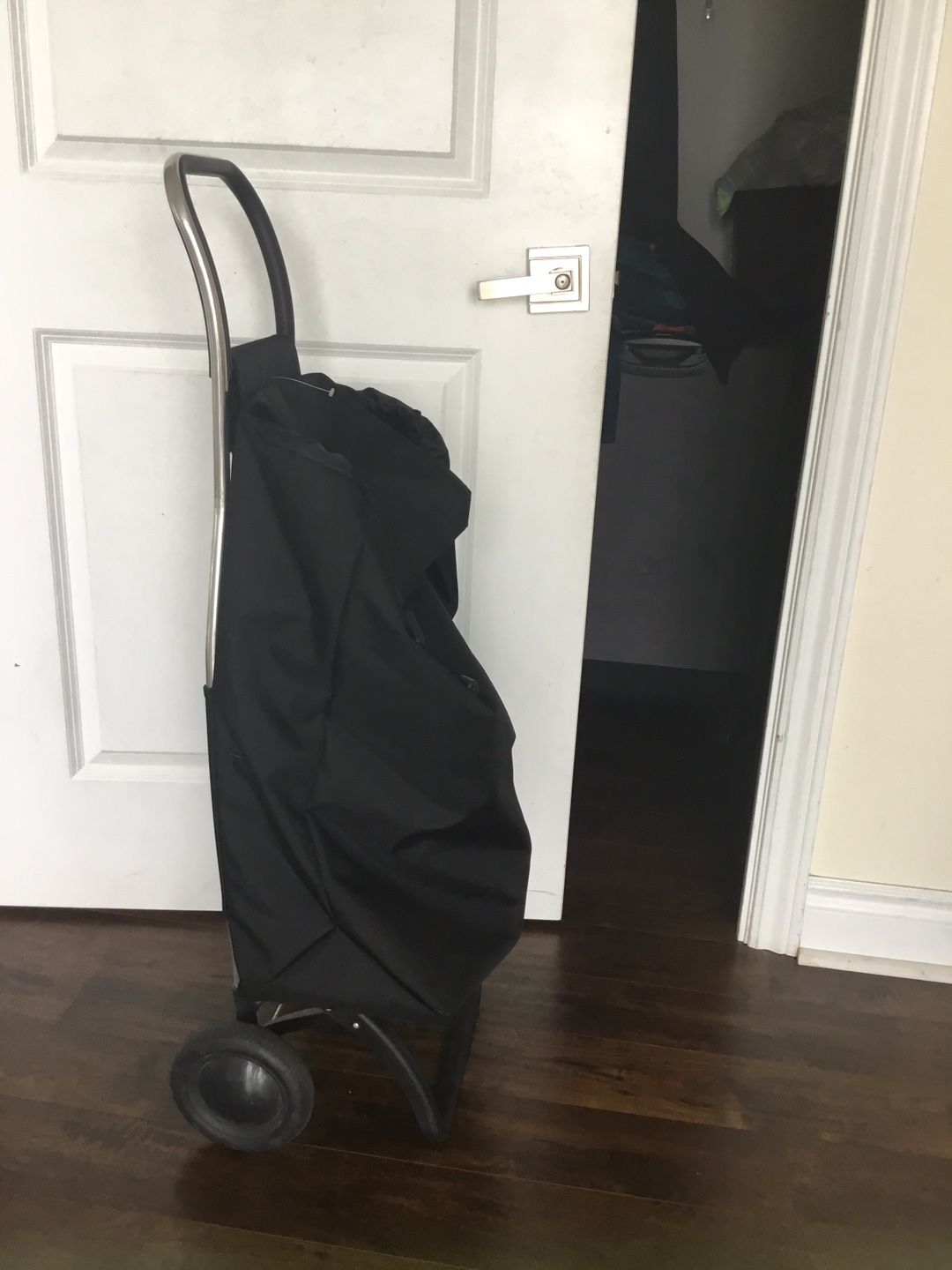 Black Shopping Cart - photo 2