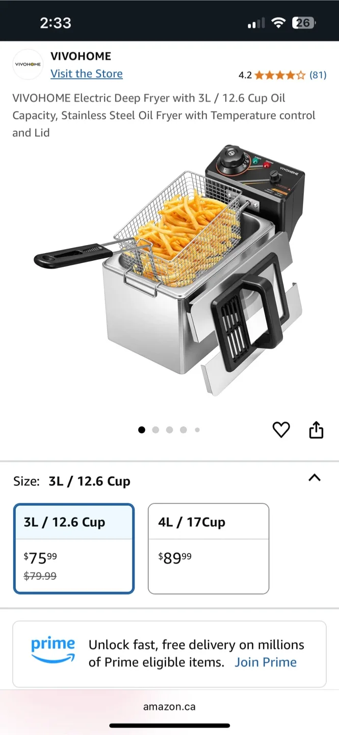 🥕VIVOHOME Electric Deep Fryer - 3L💚 thumbnail