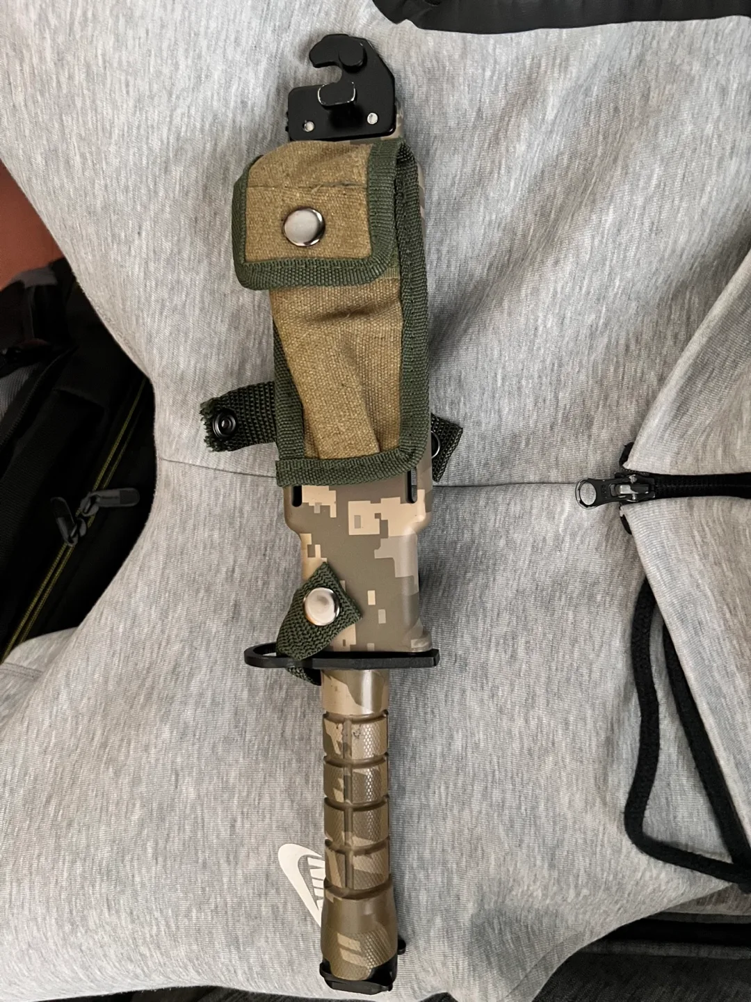 Sir Rams IV image indicator(5)