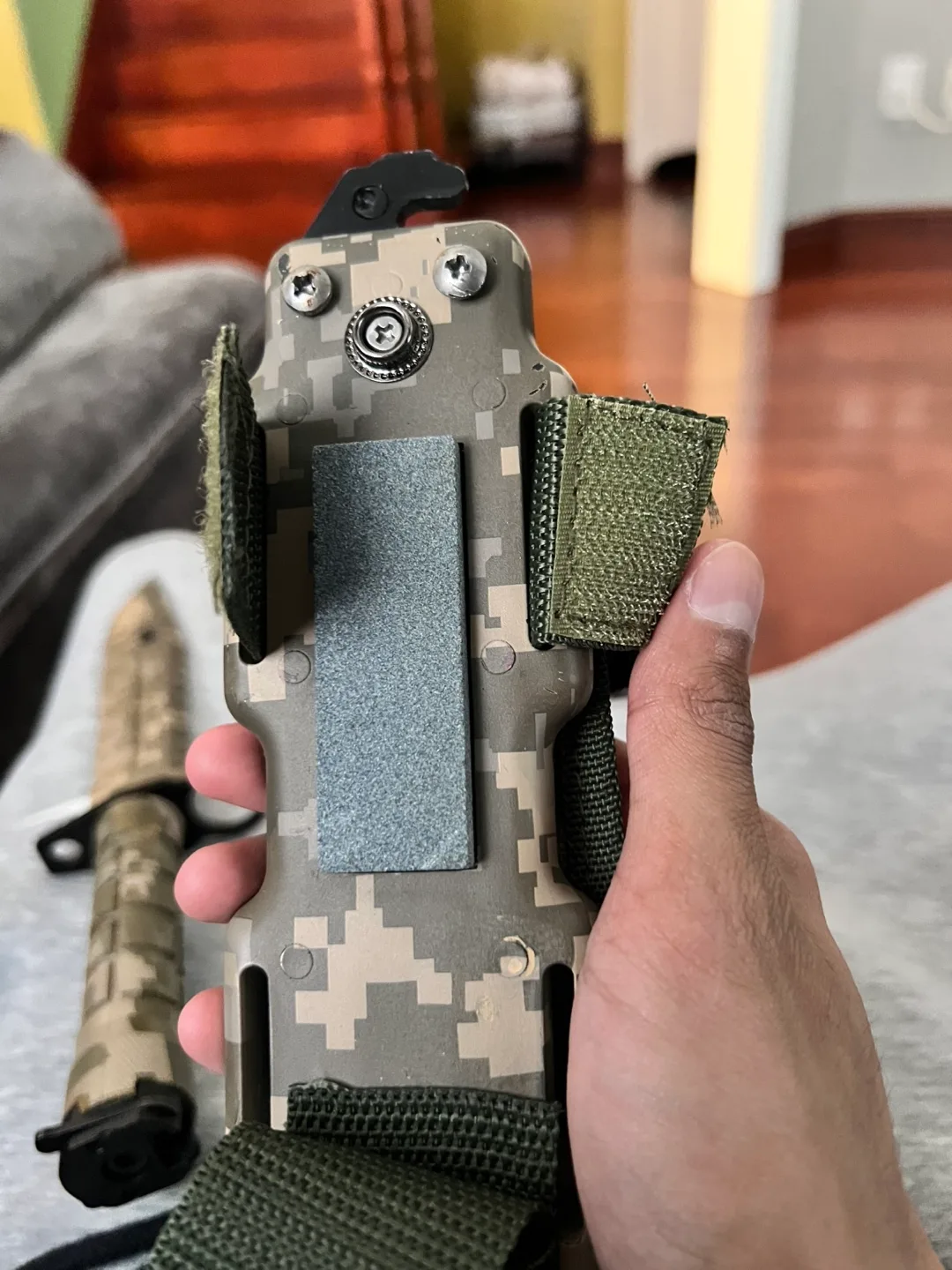 Sir Rams IV image indicator(6)