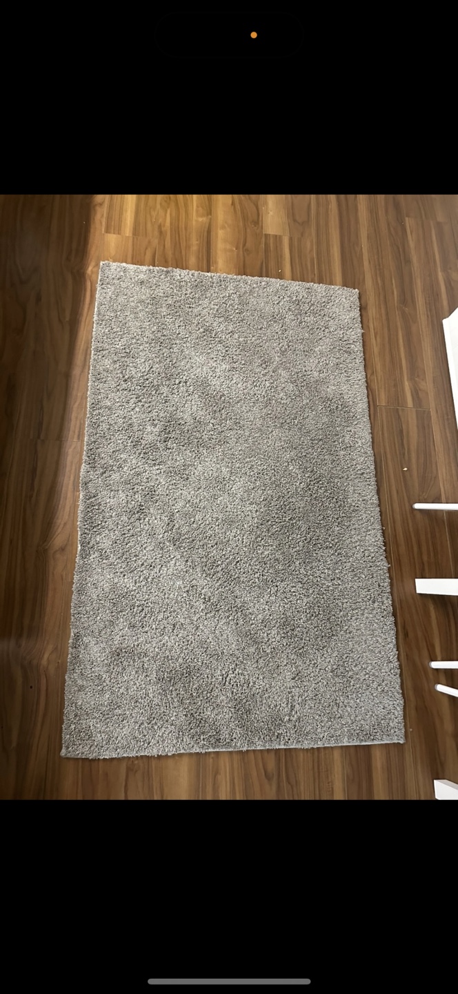 Shag area rug - Free takeaway