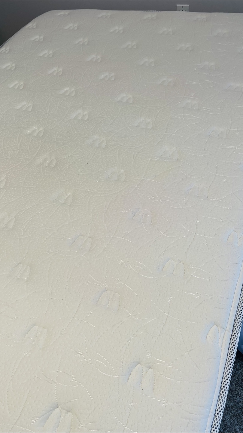 MENSA Mattress Firm & a box spring. Must go before June 29! - photo 3