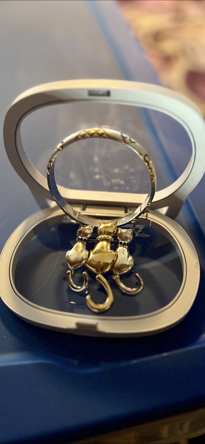 Silver and Gold Bangle Bracelet