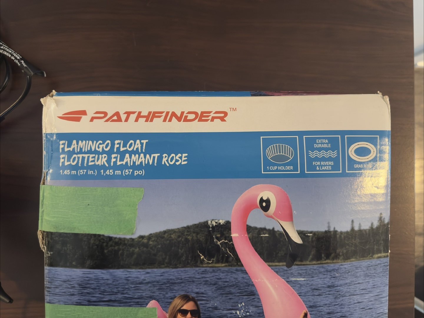 Flamingo Float with Electric Pump - photo 2
