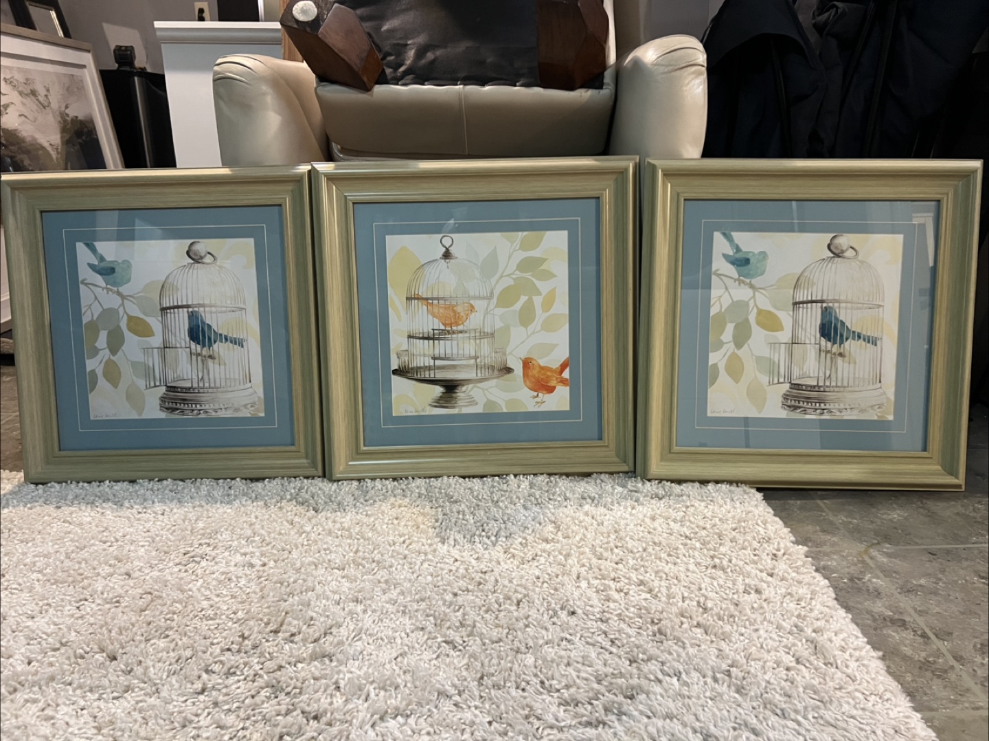 Set of 3 Framed Bird Pictures
