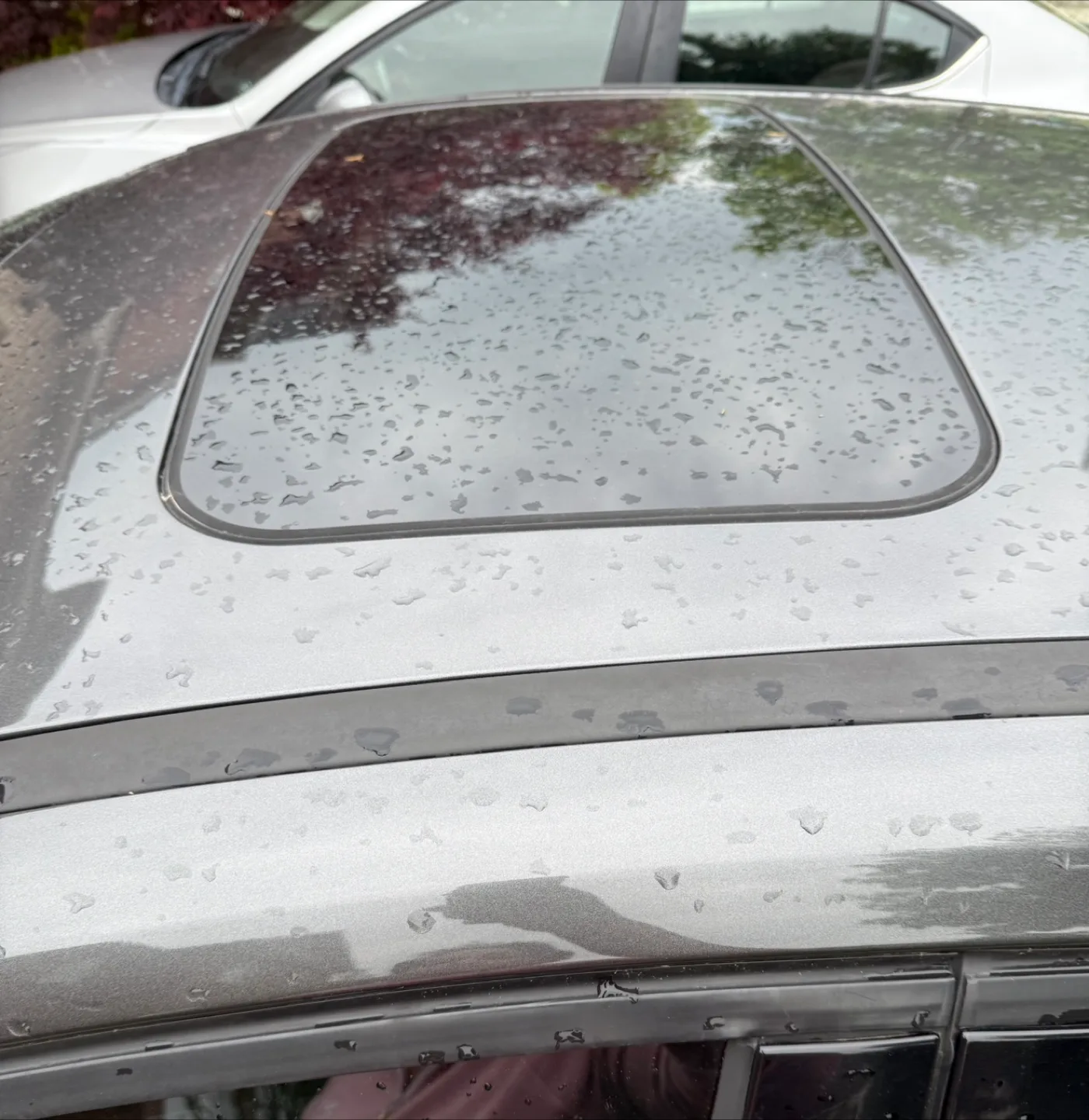 CAR FOR PARTS 2016 Ford Focus - Grey image indicator(4)