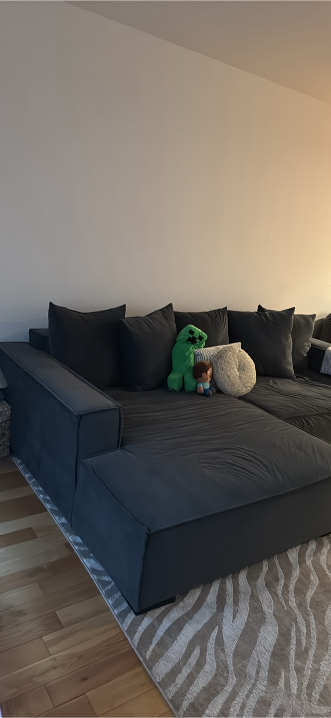 Sectional Sofa with Chaise - photo 2
