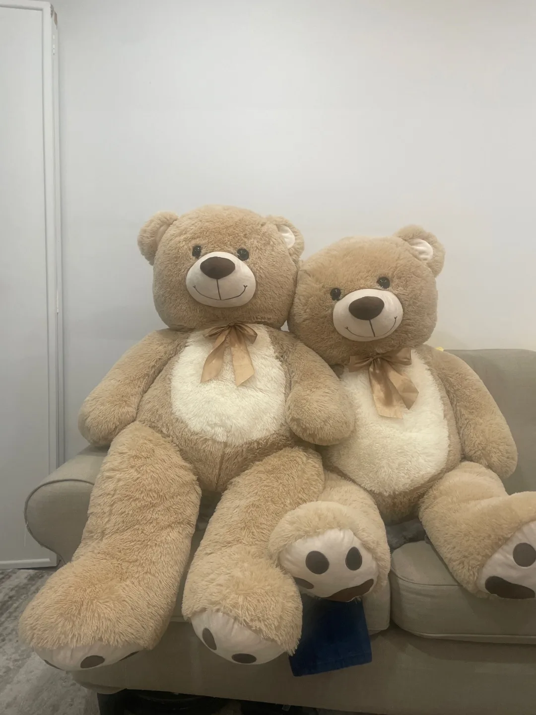 Pair of Cozy Teddy Bears image indicator(2)