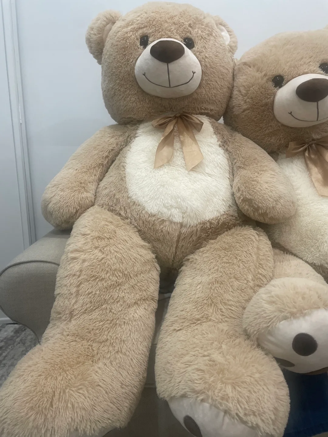 Pair of Cozy Teddy Bears image indicator(4)